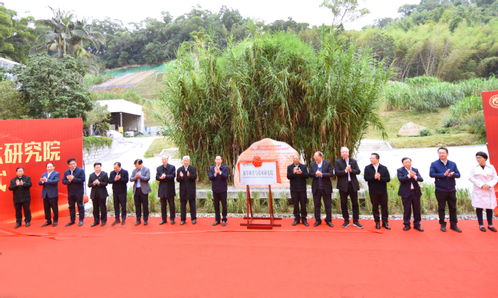 福建農(nóng)林大學菌草科學與技術研究院揭牌成立，與南京環(huán)保工程共促綠色發(fā)展